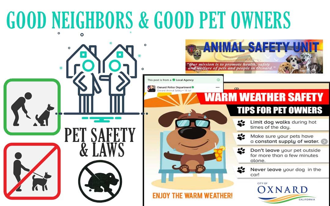 Animal Safety – Please be a responsible pet owner!