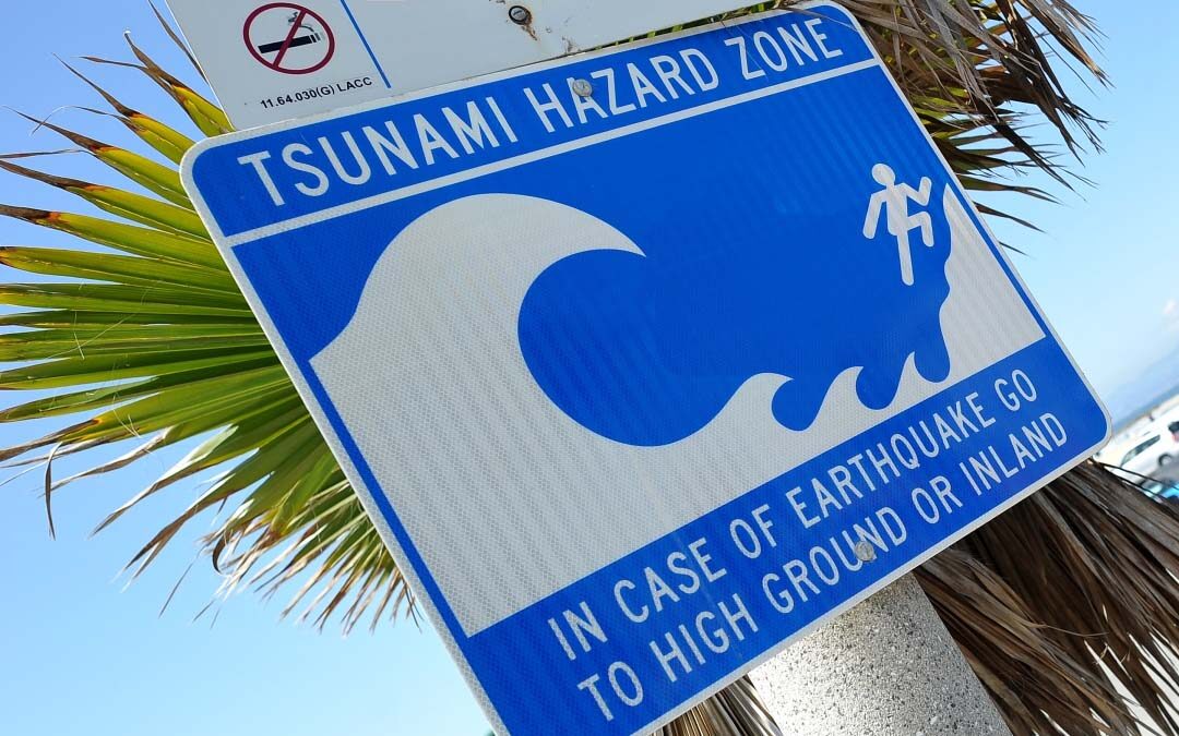 January 2022, Tsunami Debriefing and After Action