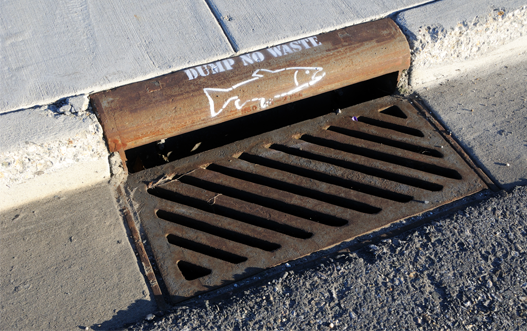 Storm Drains are no place for waste