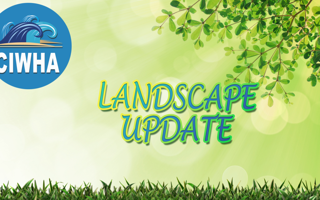 Landscape Update – summer 2023